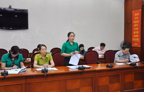 Đồng chí Vũ Thị Liên Oanh, Chủ tịch Hội LHPN tỉnh phát biểu tại hội nghị.