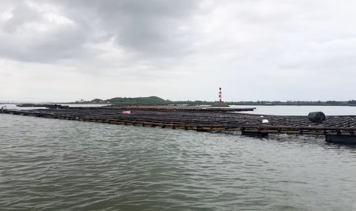 Hàng chục bè nuôi trồng thủy sản trái phép ảnh hưởng tới luồng lạch giao thông.