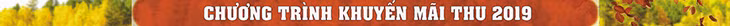 Vietravel nhiều ưu đãi cho du khách ảnh 4