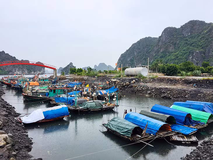 Tàu thuyền neo đậu tại khu vực bãi tắm Quảng Hồng, phường Cẩm Sơn Cẩm Phả 