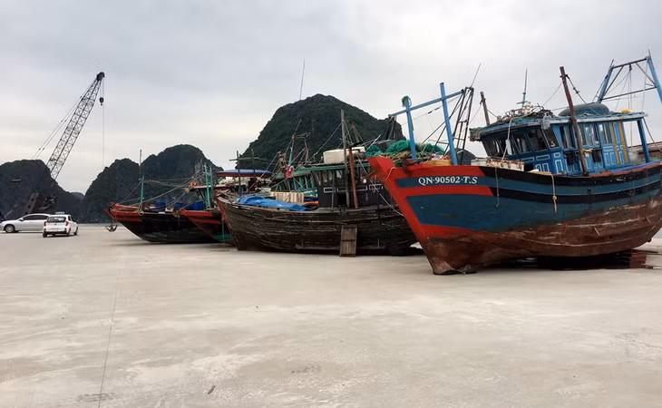 Toàn tỉnh