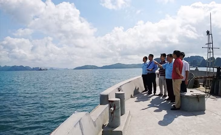 Hải quan Quảng Ninh cùng lực lượng chức năng và các nhà đầu tư khảo sát đầu tư hạ tầng phục vụ dịch vụ logistics tại Cảng Hòn Nét-Con Ong (Cẩm Phả). 
