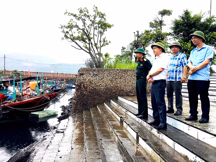 Phó Chủ tịch UBND thành phố Cẩm Phả Đinh Ngọc Chiến kiểm tra khu vực neo đậu tầu thuyền tại bãi tắm Quảng Hồng, phường Cẩm Sơn, TP Cẩm Phả 