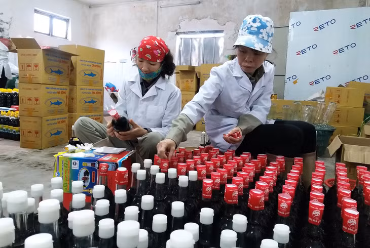Đóng chai nước mắm sá sùng tại Công ty CP Thủy sản Cái Rồng (Vân Đồn).