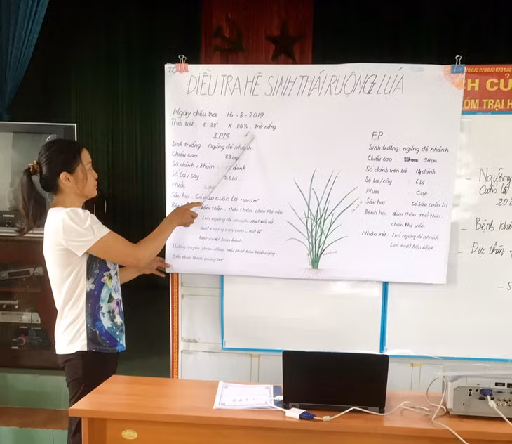Tham gia chương trình IPM