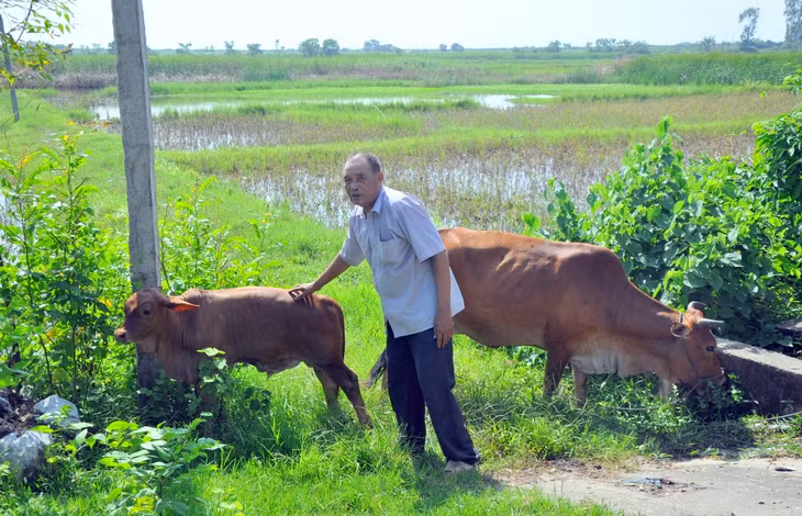 Ông Nhưỡng 