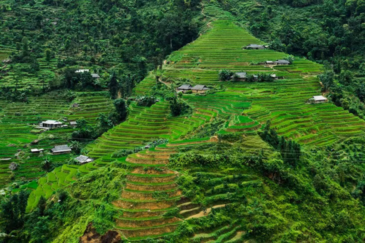 Ruộng bậc thang Hoàng Su Phì, Hà Giang.