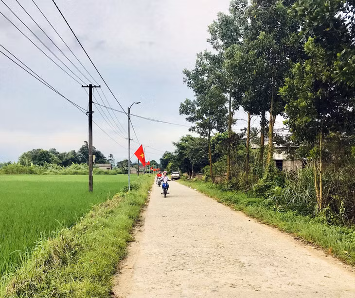 Phong trào 