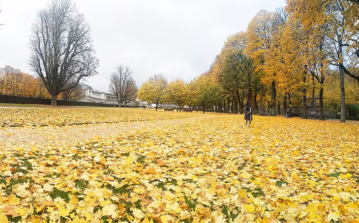 Công viên Cinquantenaire