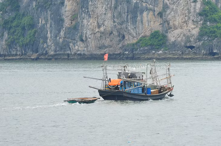 Tàu đánh cá cũng khẩn trương về vị trí an toàn.