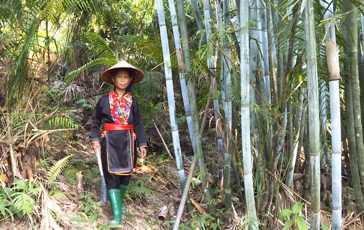Chị Lý Thị Tám với đồi tre mai
