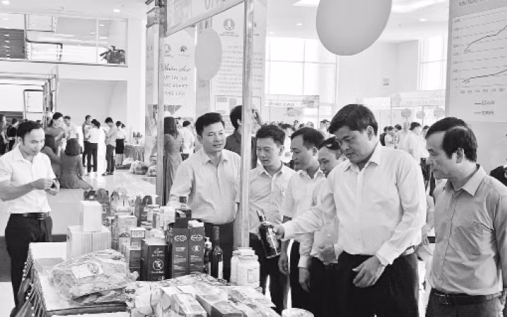 Sản phẩm nông nghiệp của các hợp tác xã tại một hội chợ.