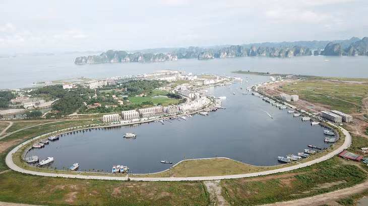 Cảng tàu khách quốc tế Tuần Châu thường xuyên có 500 tàu du lịch hoạt động đưa khách thăm vịnh Hạ Long.