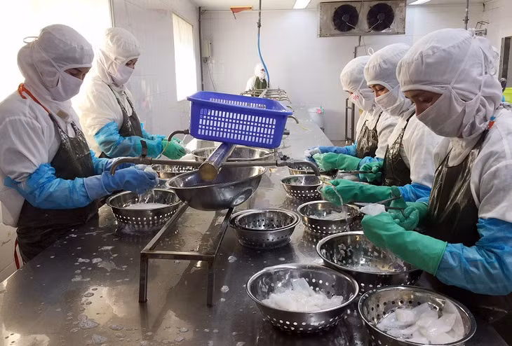 Chế biến thủy sản xuất khẩu tại Công ty Cổ Phần xuất khẩu Thuỷ Sản 2 Quảng Ninh - AQUAPEXCO 