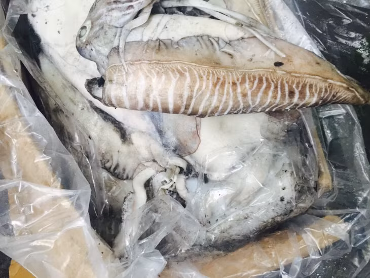 Số mực không rõ nguồn gốc bị thu giữ.
