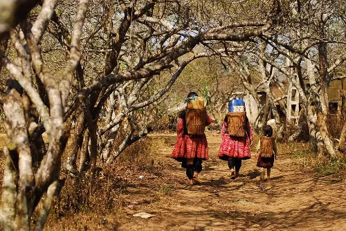 Bản Tả Phìn: Đây là nơi sinh sống chủ yếu của người dân tộc Dao đỏ và H’Mông, nằm ven thị trấn Sa Pa. Con đường vào bản men theo sườn núi quanh co bên những thửa ruộng bậc thang xanh mướt. Những cây đào, cây mận ven đường nở hoa rực rỡ trong cái rét miền sơn cước như đón chào du khách. Ảnh: Ngaymua