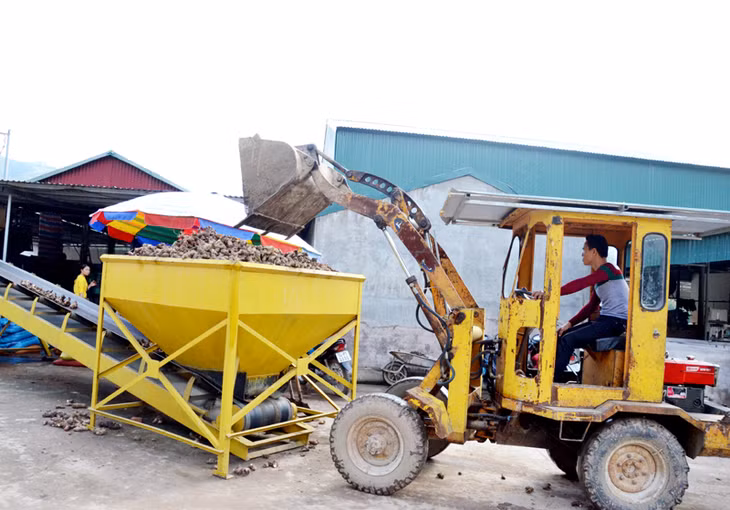 Ứng dụng khoa học và công nghệ xây dựng mô hình sản xuất và chế biến bột dong riềng sạch ở Công ty CP Thương mại và Dịch vụ Bình Liêu.