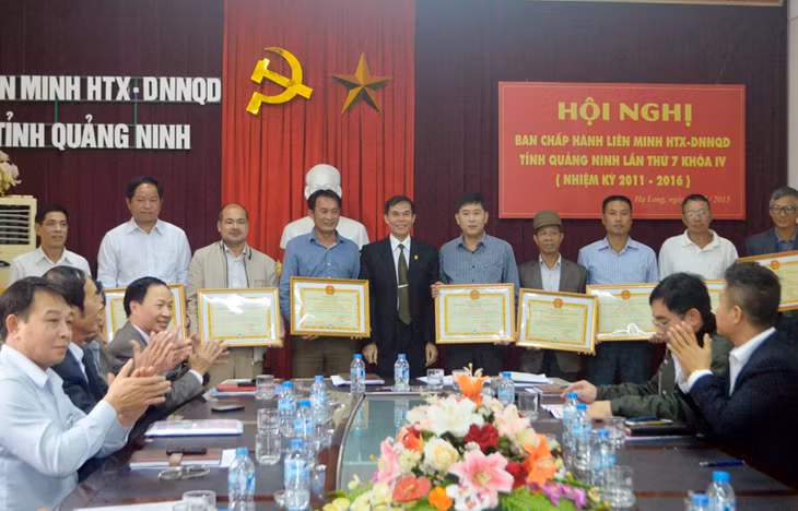 Đồng chí Nguyễn Văn Nghi, Chủ tịch Liên minh HTX-DNNQD tỉnh trao giấy chứng nhận thành viên mới đợt 3/2015