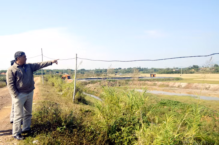 Nhiều hộ tự ý đào đắp đầm nuôi tôm trong khu vực trồng lúa tại thôn Tân Việt, xã Tân Bình (Đầm Hà).