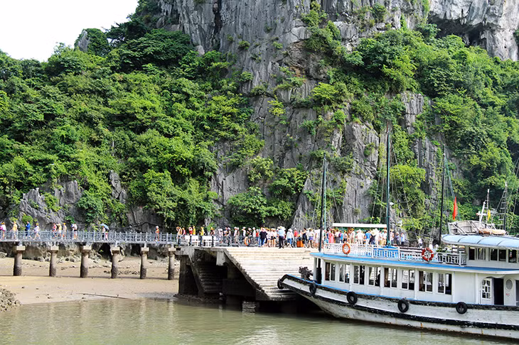 Du khách đến tham quan Vịnh Hạ Long. (Ảnh minh hoạ)