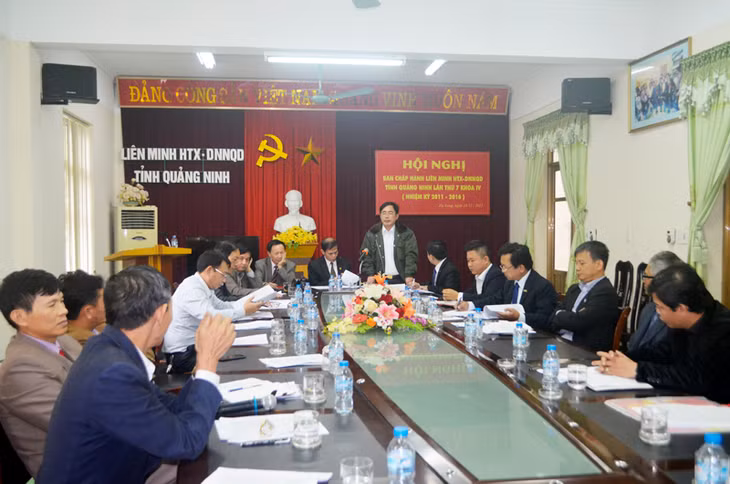 Quang cảnh hội nghị