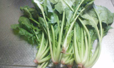 Cải bó xôi.