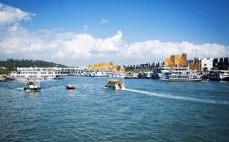 Toàn bộ tàu du lịch đưa khách tham quan Vịnh Hạ Long sẽ chuyển từ Cảng tàu du lịch Bãi Cháy về Cảng tàu du lịch quốc tế Tuần Châu từ ngày 1-1-2016. Ảnh: Đỗ Phương