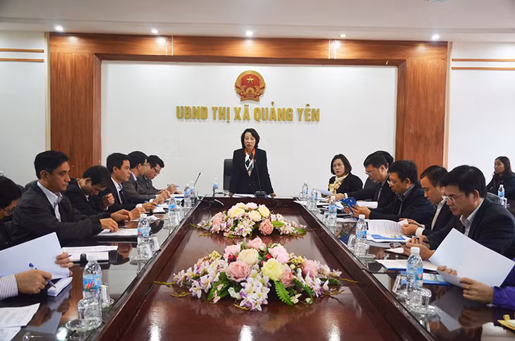 Phó Chủ tịch UBND tỉnh phát biểu kết luận buổi làm việc