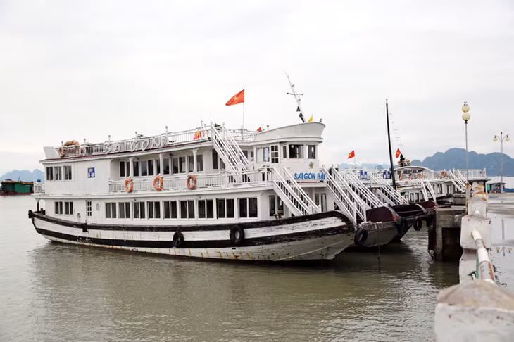 Tại cảng, vẫn còn một số tàu du lịch đậu đỗ do còn hợp đồng đưa khách tham quan Vịnh trong ngày 31-12.