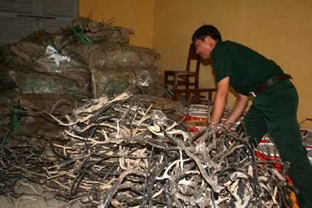 Ảnh minh họa.