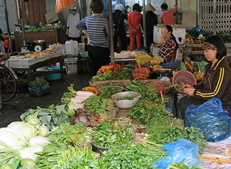 Ảnh minh họa.