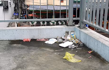 Hai đầu cầu là 2 bãi rác lớn.