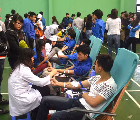 Các ĐVTN tham gia ngày hội hiến máu tình nguyện.