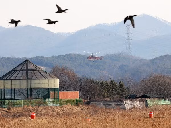 Máy bay tham gia khử trùng ngăn dịch cúm lây lan ở Ansan, phía Nam thủ đô Seoul ngày 27/1. (Nguồn: Yonhap/TTXVN)