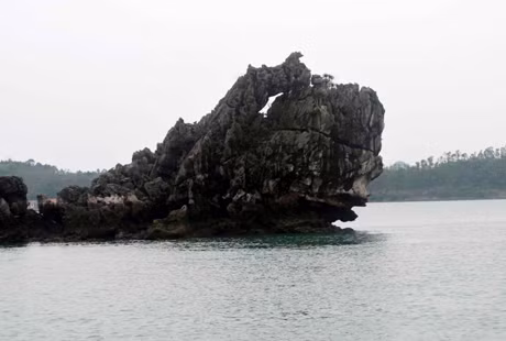 có đảo như một con lạc đà mẹ đang tìm con. Lại có đảo đá giống như đôi ếch, con trên con dưới đang “yêu nhau” trong mùa giao phối (ảnh 6)…