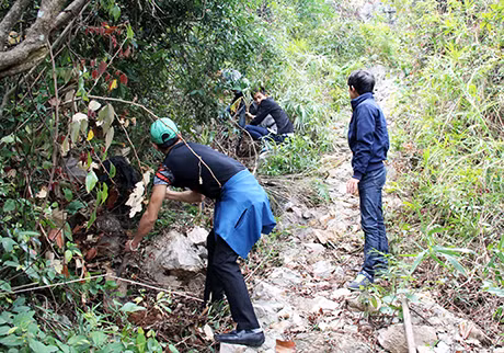 Nhân viên Ban