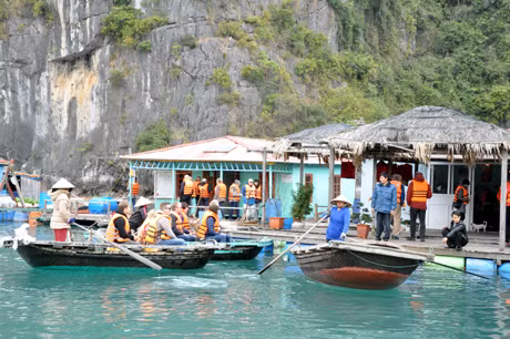 Dịch vụ chèo thuyền nan đưa khách đi tham quan Vịnh.