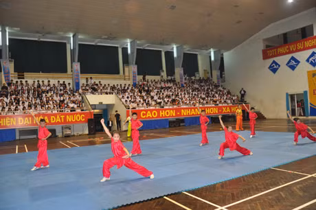 Màn biểu diễn môn võ thuật Wushu của các em học sinh Trường TDTT tỉnh