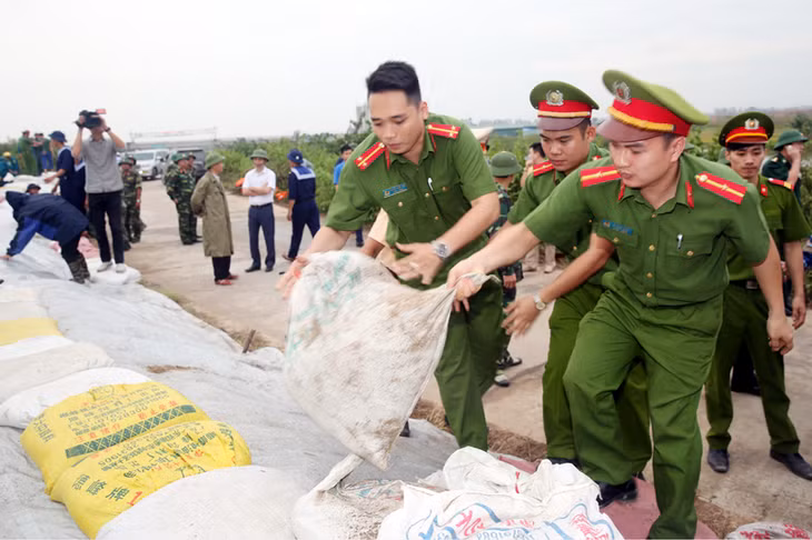 Nhân dân và các lực lượng vũ trang TX Quảng Yên tập trung gia cố, khắc phục các vị trí đê xung yếu và hỗ trợ nhân dân thu hoạch lúa trước khi bão về.