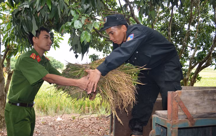 Chiến sỹ công an vận chuyển lúa giúp dân