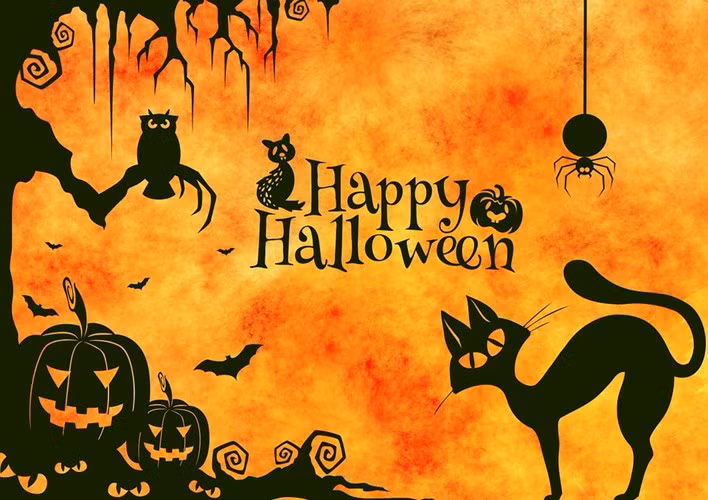  Khoảng 170 triệu người dân Mỹ chuẩn bị cho ngày lễ Halloween hàng năm. 
