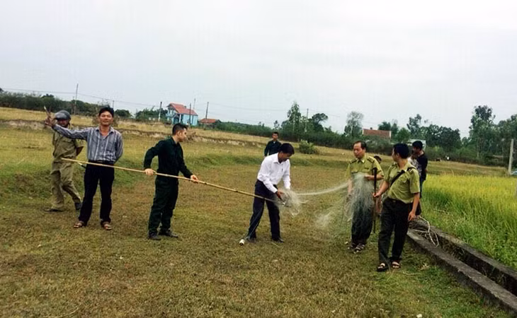Cán bộ Hạt Kiểm lâm Móng Cái phối hợp với lực lượng chức năng, chính quyền phường Hải Yên thu giữ các lưới bẫy chim trên địa bàn.