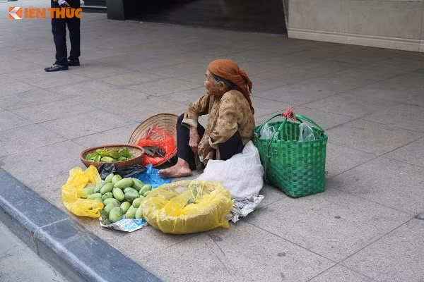  Cụ già tần tảo mưu sinh với những thứ cây trái tự trồng được. 