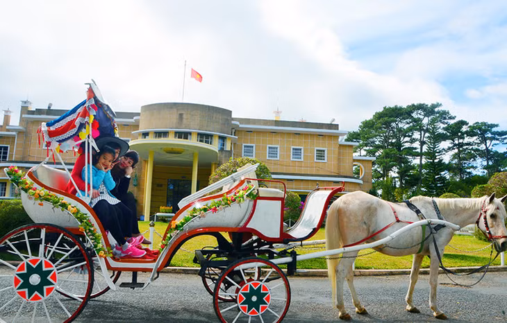 Đến Đà Lạt, du khách không thể không đến thăm dinh Bảo Đại. Dinh nằm giữa một rừng thông thuần chủng, kiến trúc vườn, công viên xung quanh.