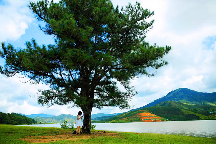 Đến khu vực Suối Vàng (cách trung tâm thành phố 19km), du khách sẽ có những trải nghiệm tuyệt vời với một cảnh quan thiên nhiên thơ mộng, yên bình.