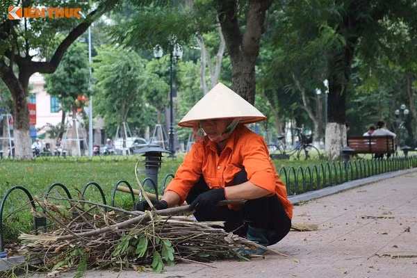  Những cô công nhân môi trường vẫn miệt mài làm việc. 