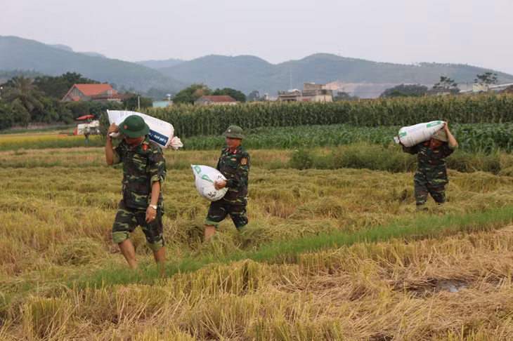Bộ đội