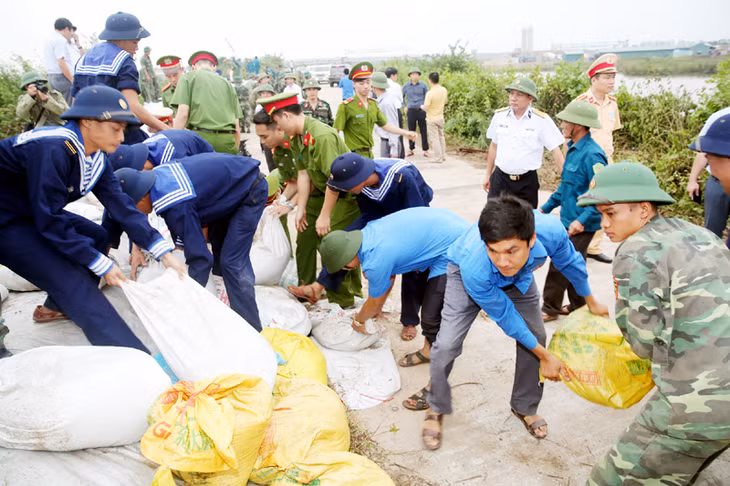 Nhân dân và các lực lượng vũ trang TX Quảng Yên tập trung gia cố, khắc phục các vị trí đê xung yếu và hỗ trợ nhân dân thu hoạch lúa trước khi bão về.