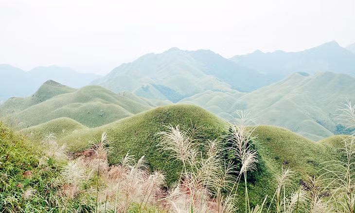 Cung đường tuần tra biên giới phía Tây Bình Liêu.