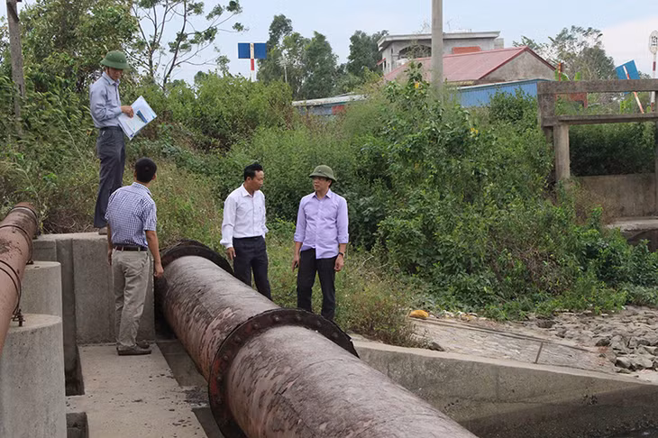 Kiểm tra